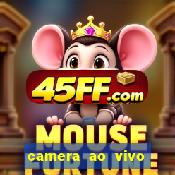 camera ao vivo terminal vila nova cachoeirinha
